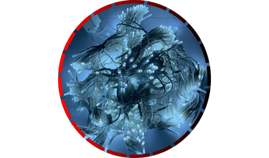 cortina 600 leds branco 2x3m ip20 20 quedas fio branco plug unico g light 48 1